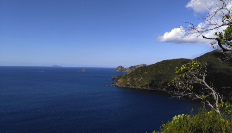 Coromandel Peninsula. New Zealand